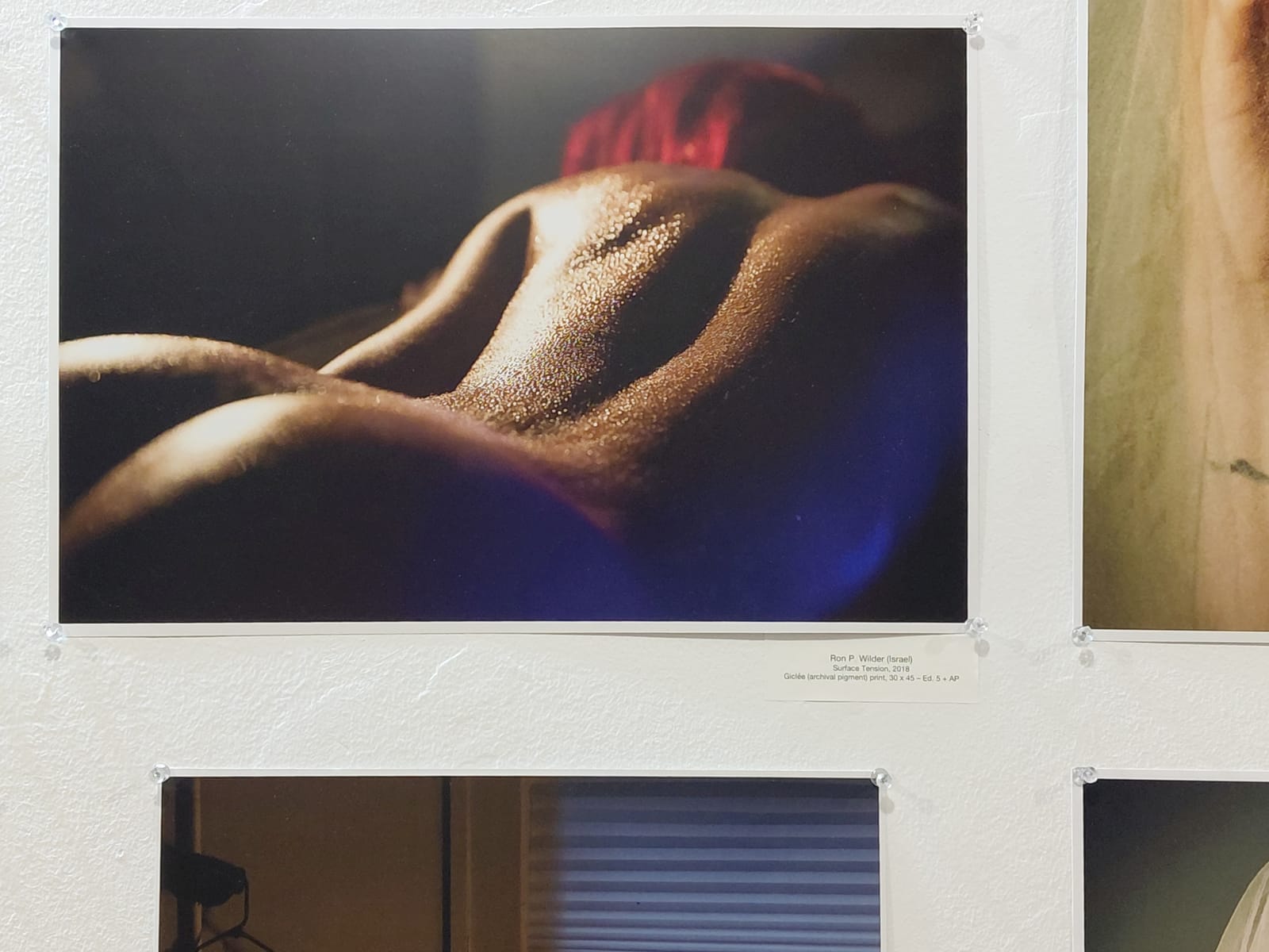 Surface Tension by Ron P Wilder, hung at PH21 Gallery